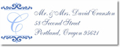 Name Doodles - Rectangle Address Labels/Stickers (Westbrook Blue)
